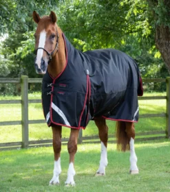 Premier Equine Buster Hardy 400g Half Neck Turnout Rug Black