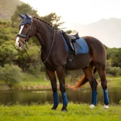 LeMieux Suede Dressage Square Atlantic 7 LeMieux Suede Dressage Square Atlantic -Equestrian Related gjjVtYFQ