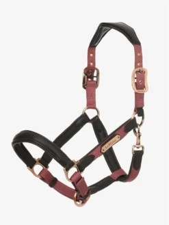 LeMieux Capella Headcollar Orchid