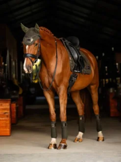 LeMieux Adour Polo Bandages Oak -Equestrian Related it01404 lifestyle adourdressagesquare oak 2