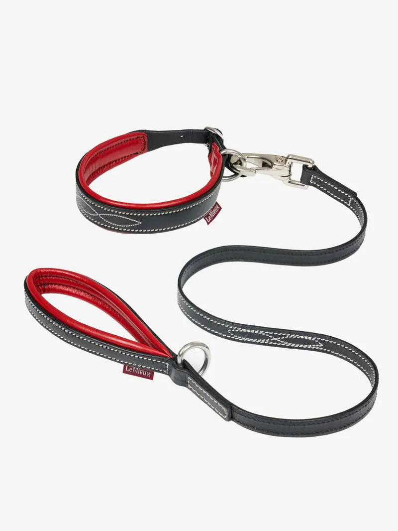 LeMieux Toy Dog Leather Collar And Lead Chilli 4 LeMieux Toy Dog Leather Collar And Lead Chilli - Image 2