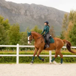 LeMieux Suede Dressage Square Spruce -Equestrian Related s4OcJrWA