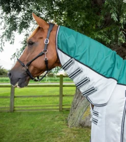 Premier Equine ShowerTex Fly Rug With Surcingles Green -Equestrian Related showertex stay dry fly rug green 2