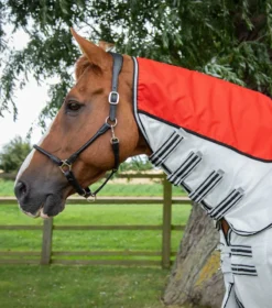 Premier Equine ShowerTex Fly Rug With Surcingles Red -Equestrian Related showertex stay dry fly rug red 2