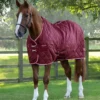 Premier Equine Tuscan Stable Rug 100g Burgundy -Equestrian Related tuscan stable rug 100g burgundy