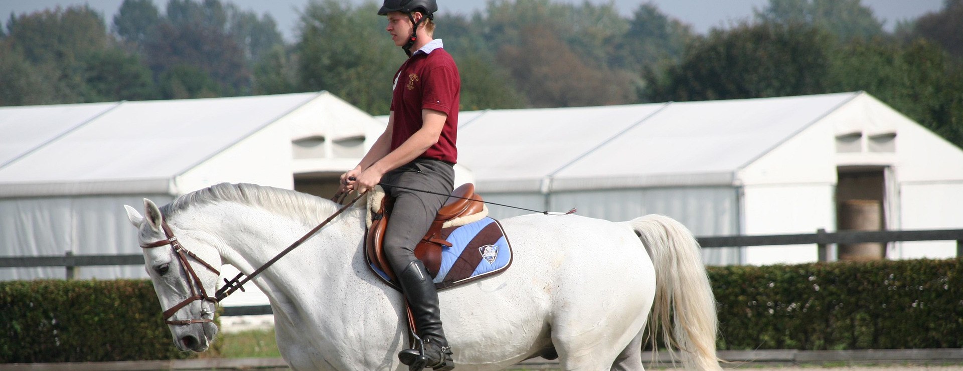 Equestrian Related -Equestrian Related equestrian 753097 1920